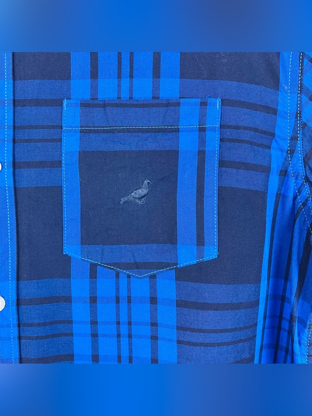 Staple Pigeon Men's Large Blue Plaid Long Sleeve Button Down Collared Shirt - Picture 4 of 16